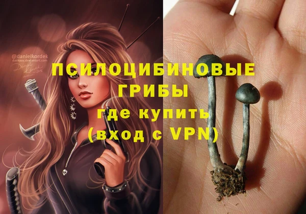 apvp Заволжск