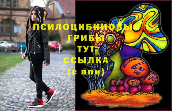 apvp Заволжск